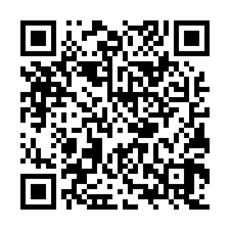 QR code for ZZW008