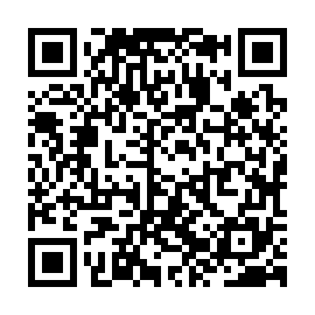 QR code for ZZZ375
