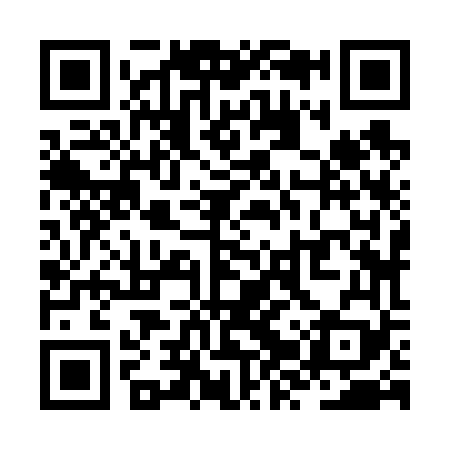QR code for ZZZ669