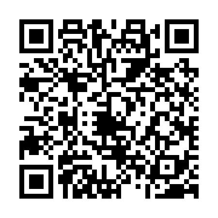 QR code for 10B2393