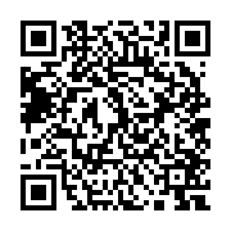 QR code for 10B2463
