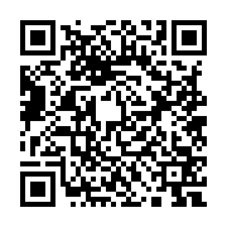 QR code for 10B9638