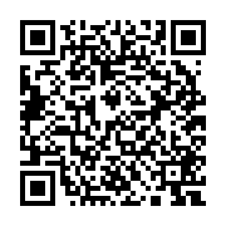 QR code for 10BB493