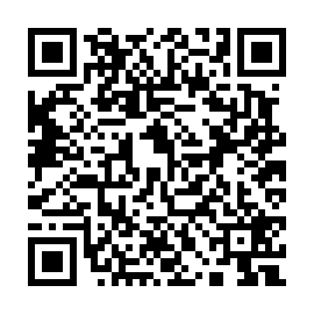 QR code for 10BD295