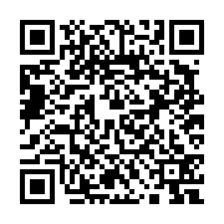 QR code for 10BD333