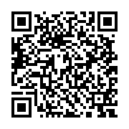 QR code for 10BD919