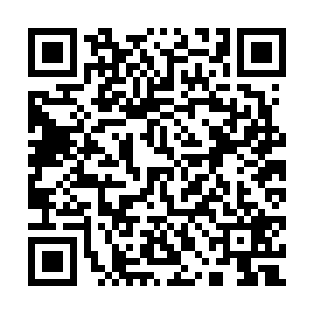 QR code for 10BF294