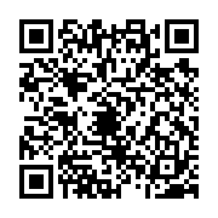 QR code for 10BF333
