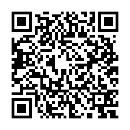 QR code for 10BF339