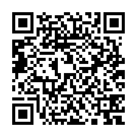 QR code for 10BF381