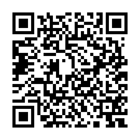 QR code for 10BF541
