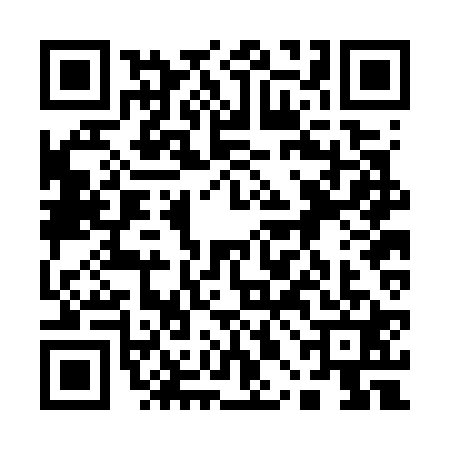 QR code for 10BG219