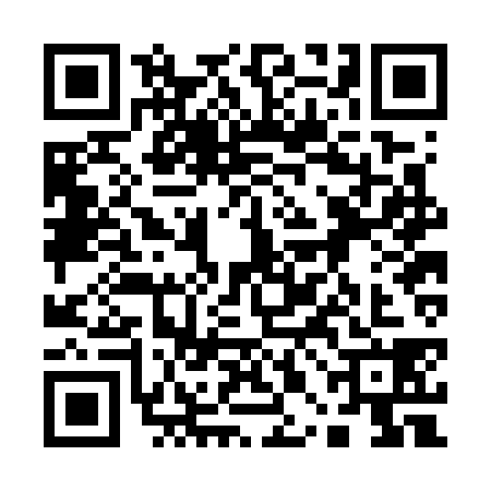QR code for 10BG381