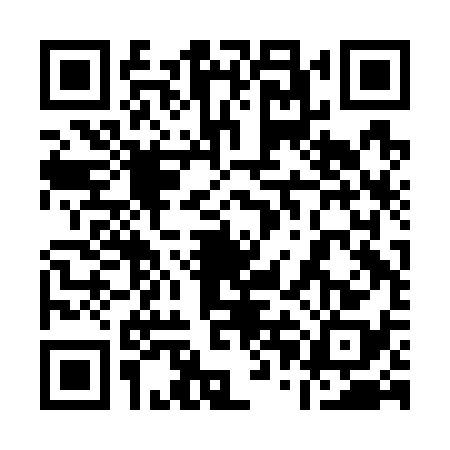 QR code for 10BG384