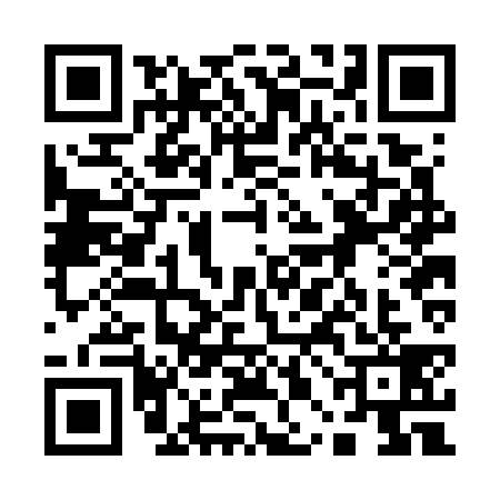 QR code for 10BG393