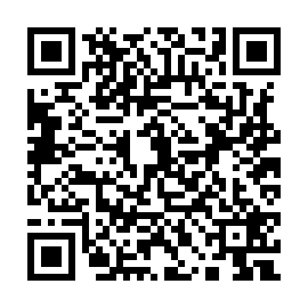 QR code for 10BI295