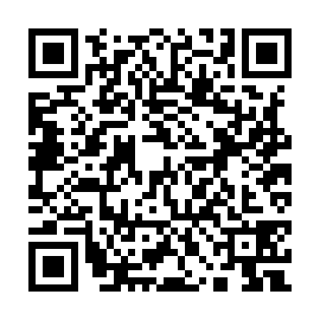 QR code for 10BI384