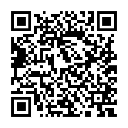 QR code for 10BI411