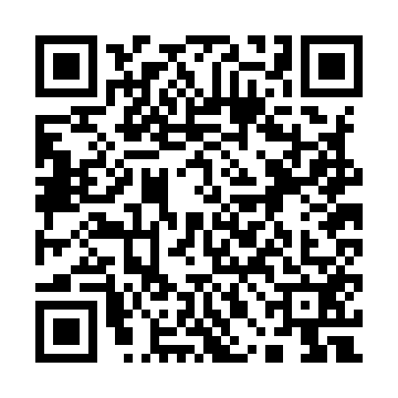 QR code for 10BI528