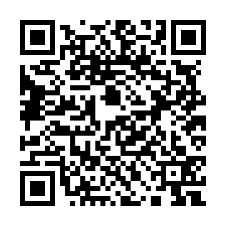 QR code for 10BN333