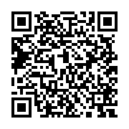 QR code for 10BN493