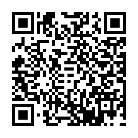 QR code for 10BO338
