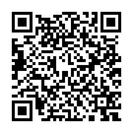 QR code for 10BO379
