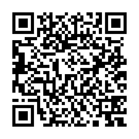 QR code for 10BO381