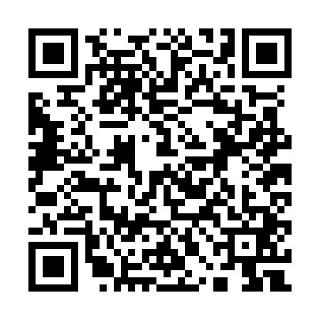 QR code for 10BO411