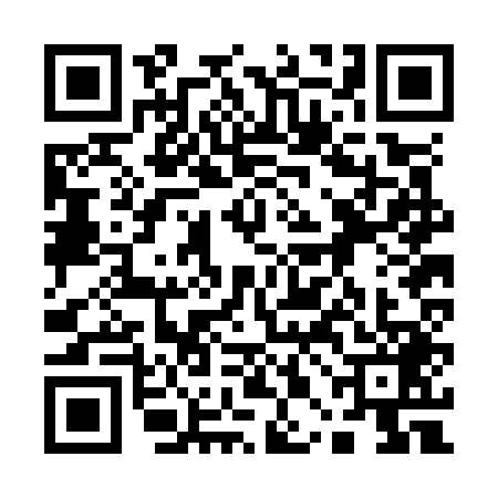 QR code for 10BO493