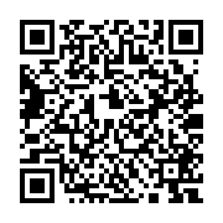 QR code for 10BS493