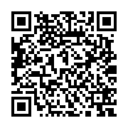 QR code for 10BT295