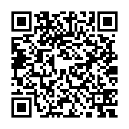 QR code for 10BU393