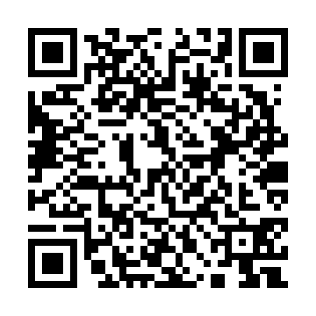 QR code for 10BV306