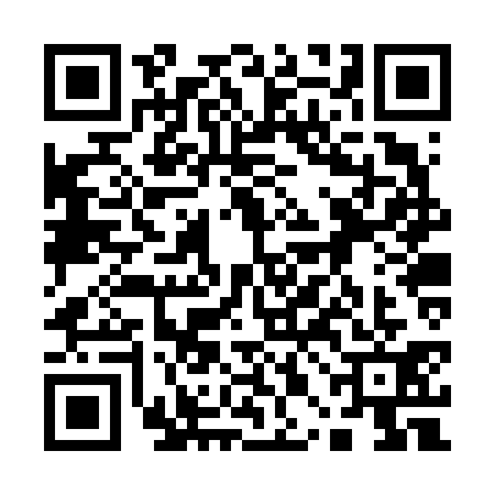QR code for 10BV313