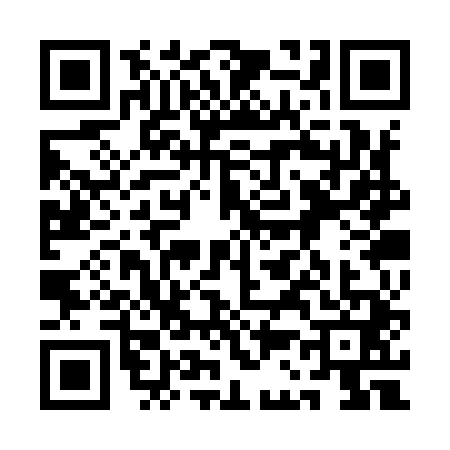 QR code for 1C3Y417