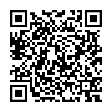 QR code for 1G1N335