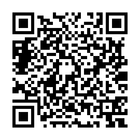 QR code for 1G2X307
