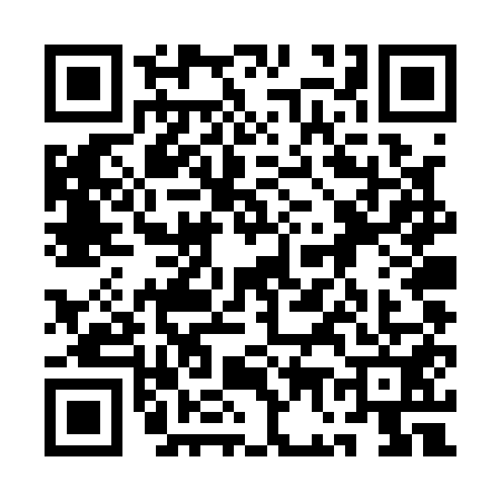 QR code for 1G4Q519