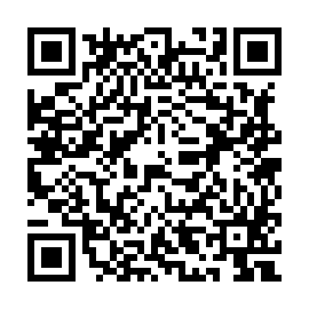QR code for 1L3885Q