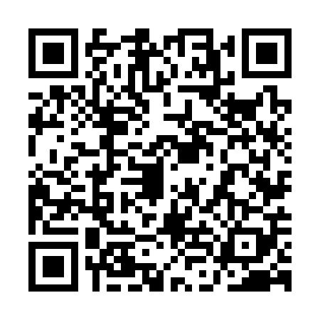 QR code for 1LN3095