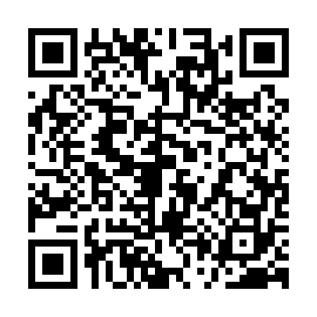 QR code for 1P11729