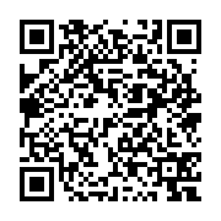 QR code for 1P13346