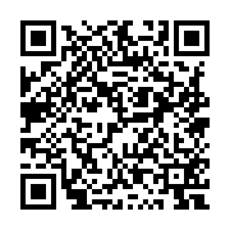 QR code for 1P19520