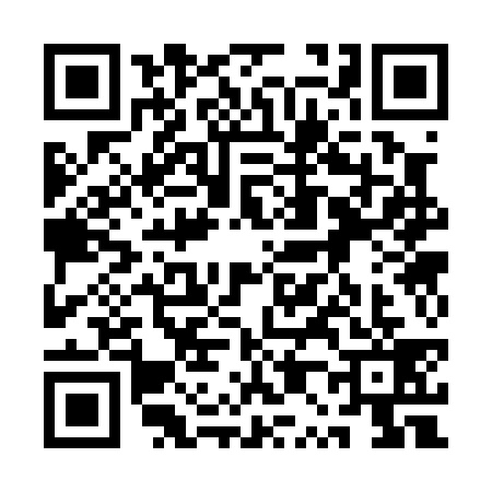 QR code for 1P30391