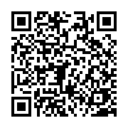 QR code for 1P313EV