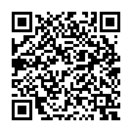 QR code for 1P335PK