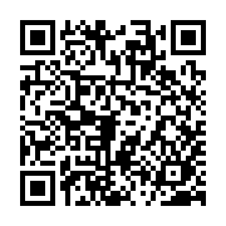 QR code for 1P339LP
