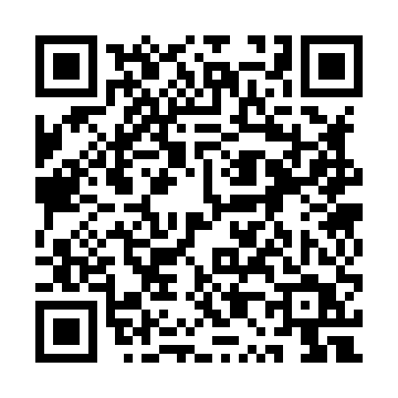 QR code for 1P385TX
