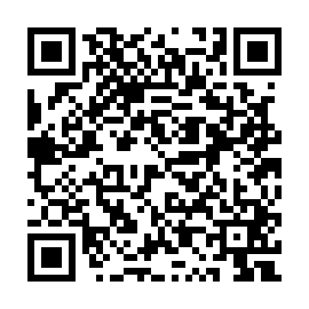 QR code for 1P3A419
